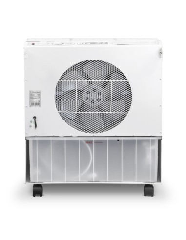 Humidificateur pro pour pièce à cigare humidifiée (walking room